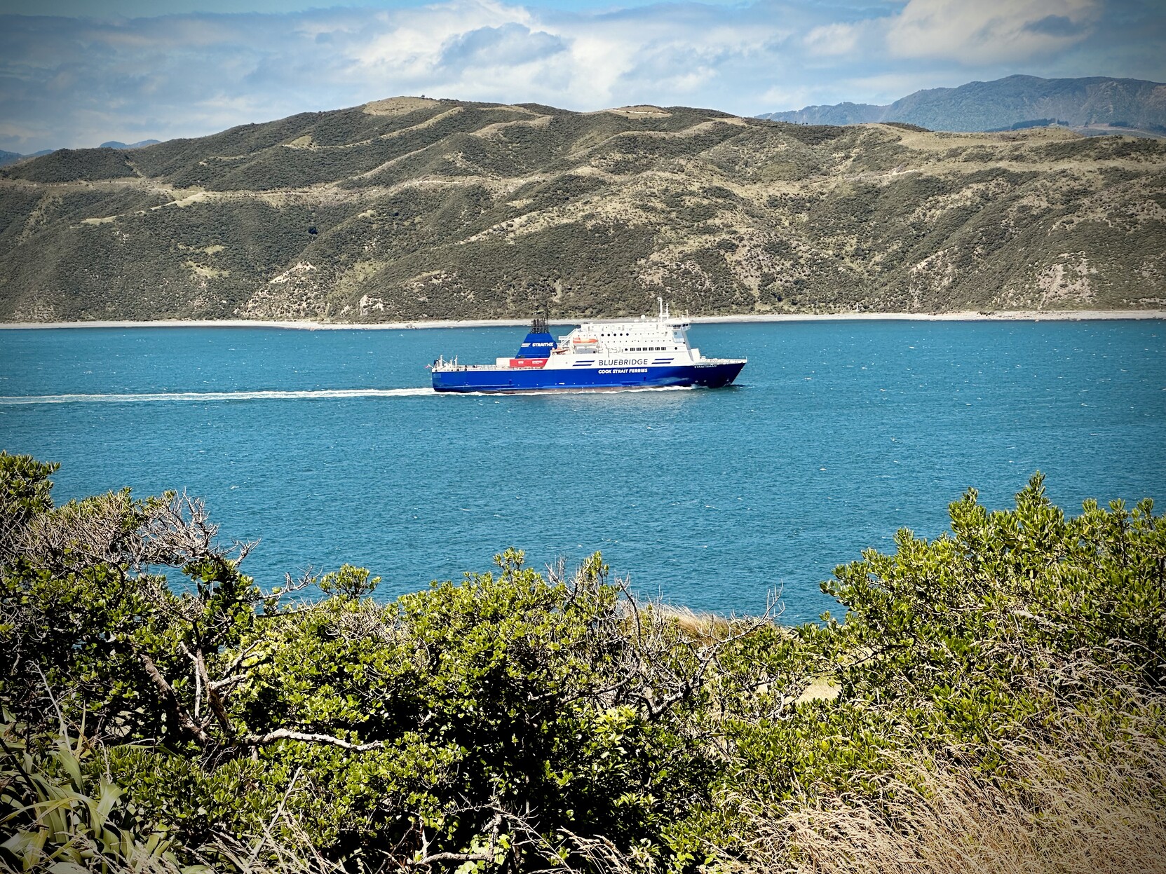 The Bluebridge ferry, leaving Wellington harbour