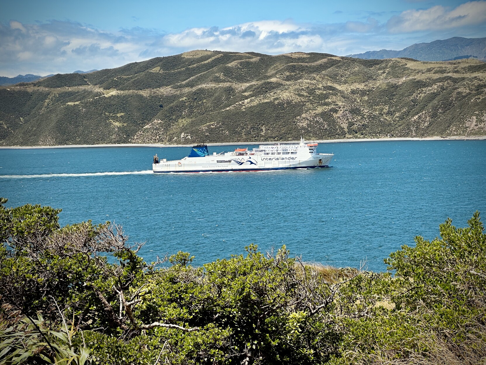 The Interislander ferry, leaving Wellington harbour